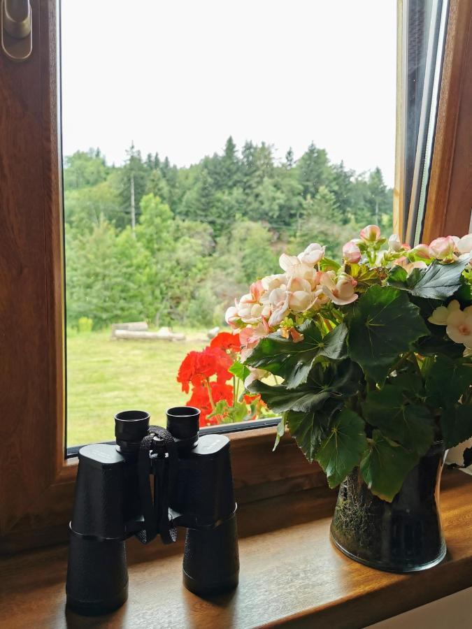 Wies Odnowa Łabowa Esterno foto