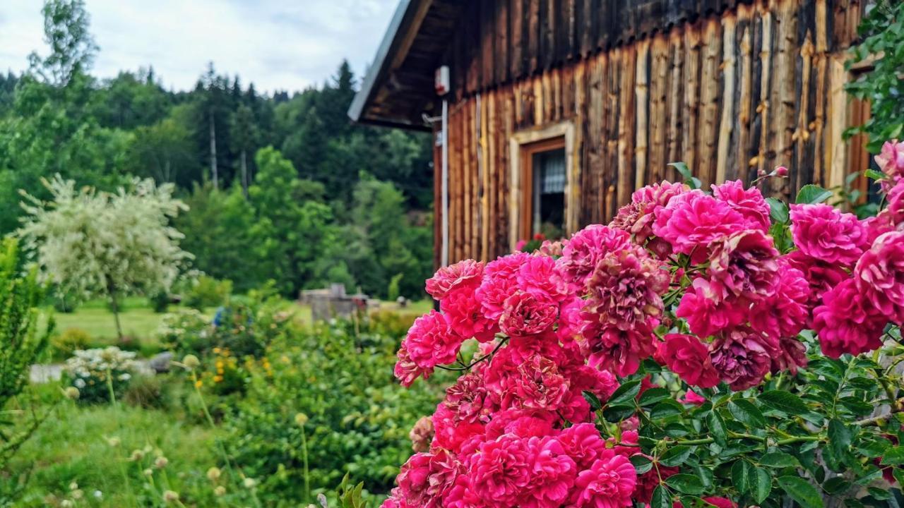Wies Odnowa Łabowa Esterno foto