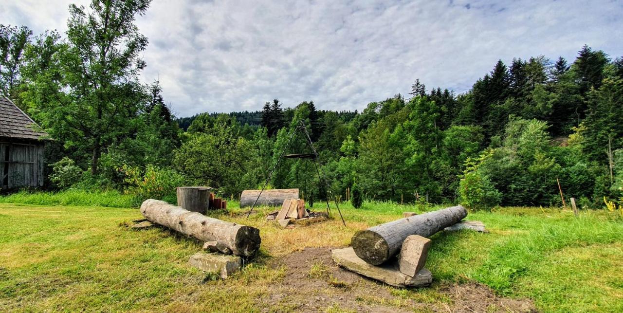Wies Odnowa Łabowa Esterno foto
