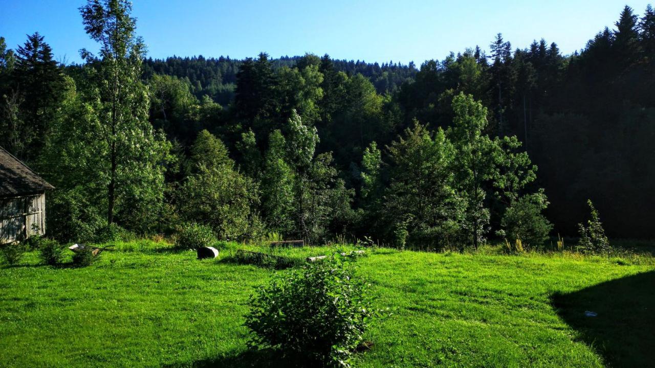 Wies Odnowa Łabowa Esterno foto