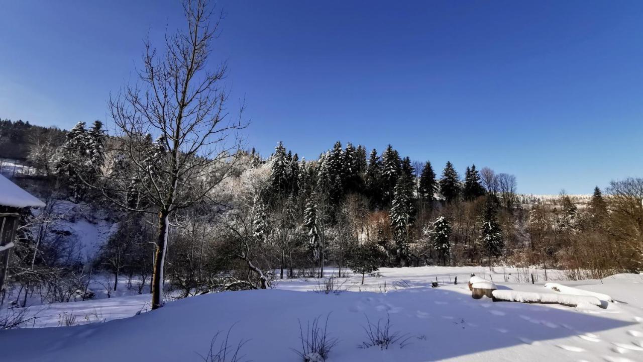 Wies Odnowa Łabowa Esterno foto