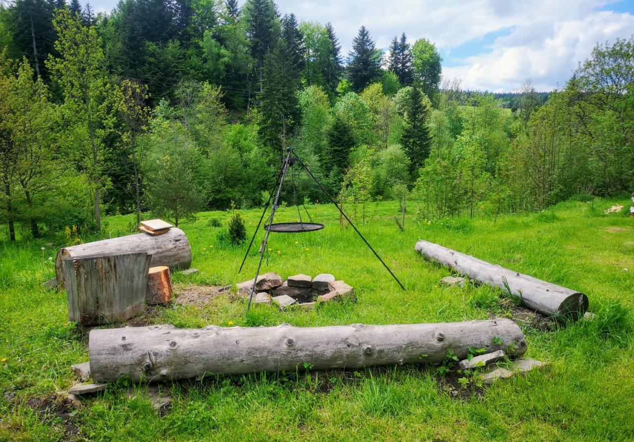Wies Odnowa Łabowa Esterno foto