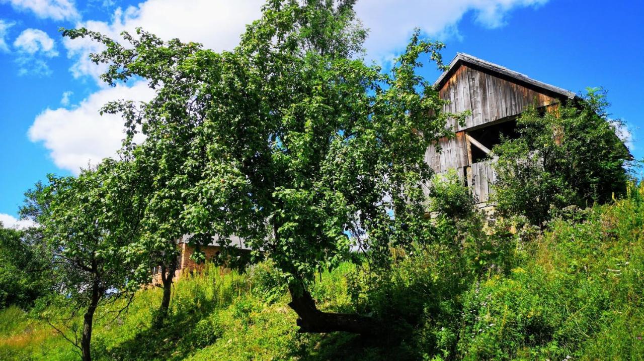 Wies Odnowa Łabowa Esterno foto